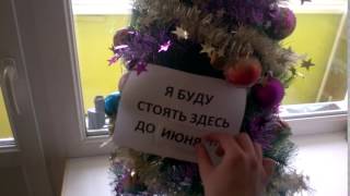 Что Надо Сделать На 1 Мая?