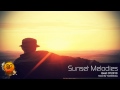 Sunset Melodies - Best Of 2013 - Progressive House/Progressive Trance