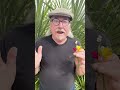 It's The First Day of Spring!