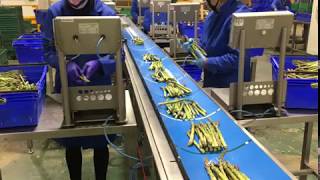 Redpack NTS-BM flowrapping Asparagus