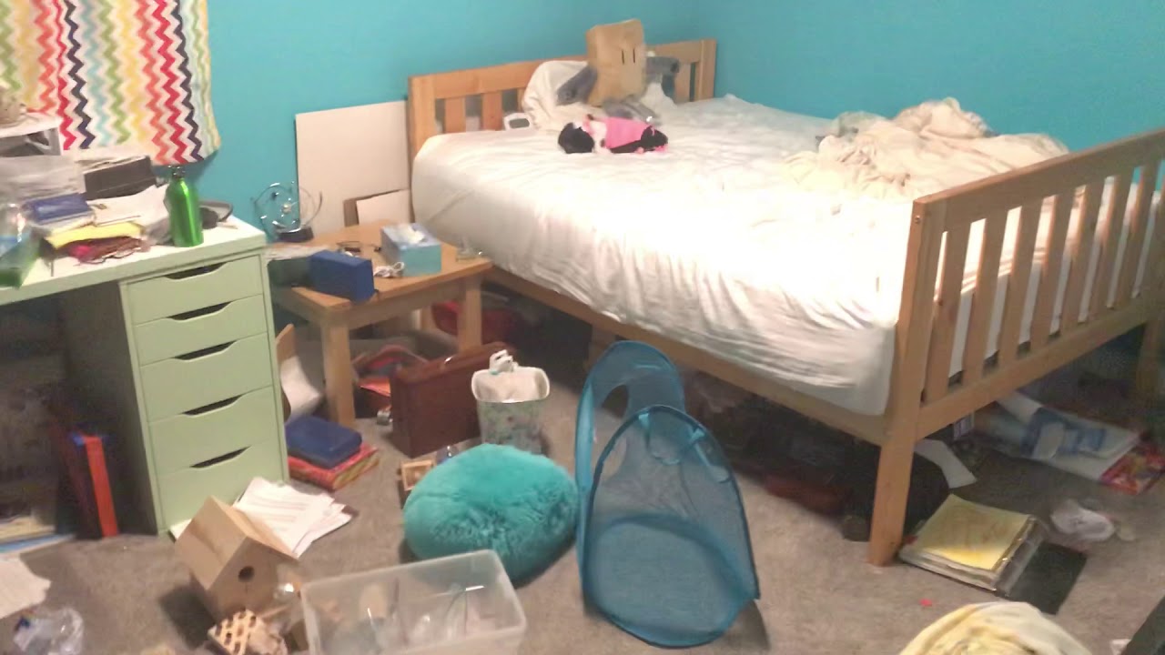 Mousetrap plush lol - My room is a DISASTER

Also my cat’s name is Patch