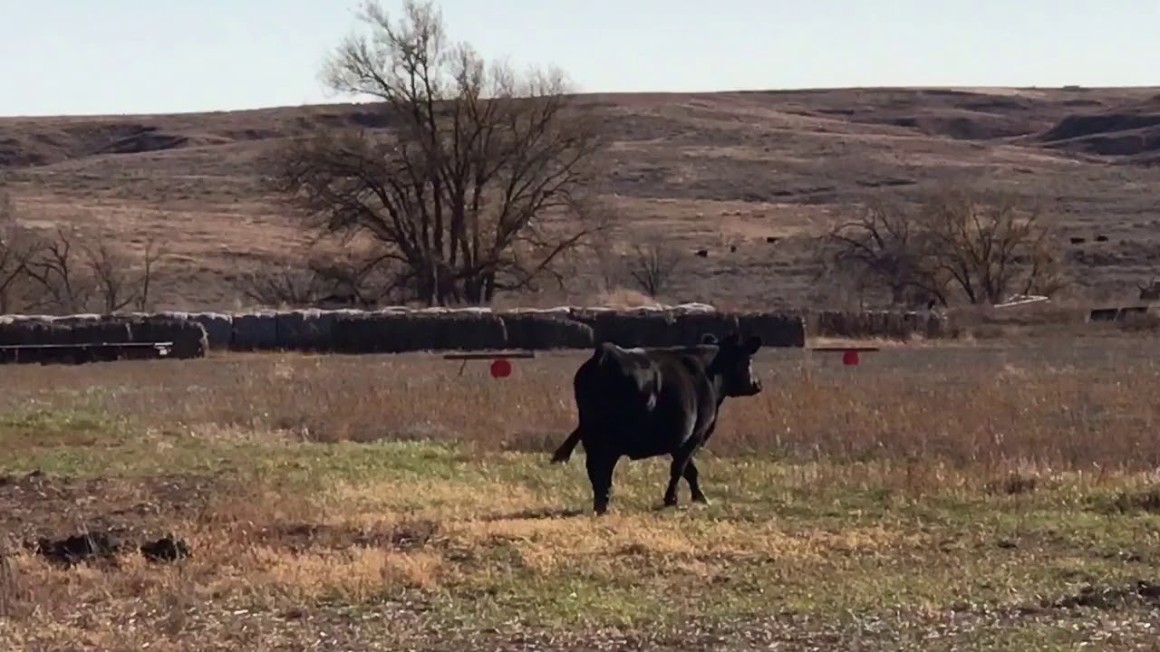 Typical day when leaving the farm