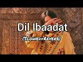 Dil Ibaadat - [Slowed Reverb]