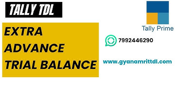 Advance T Formate Trial Balance Tally TDL