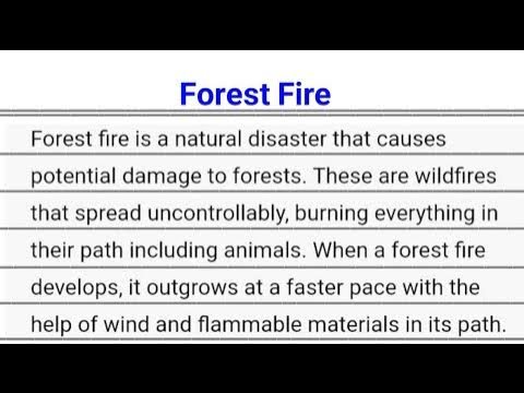 essay about forest fire