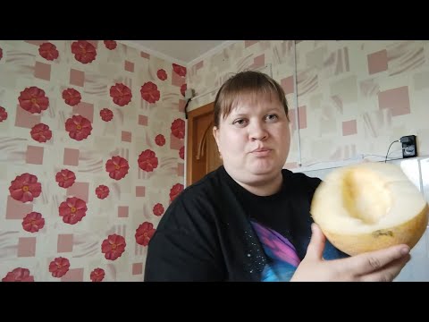 ПРОСТАЯ ЖИЗНЬ// МЫ
