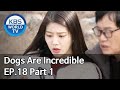 Dogs are incredible | 개는 훌륭하다 EP.18 Part 1 [SUB : ENG/2020.03.24]