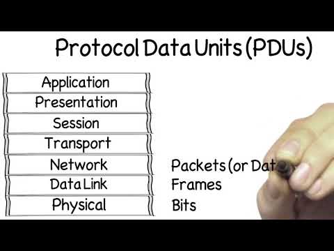 09  Protocol