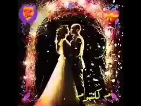 هافضل احبك من غير ما اقولك