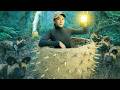 Amazing Girl Builds Hidden Underground Shelter in 32Days | Survival Bushcraft Skills