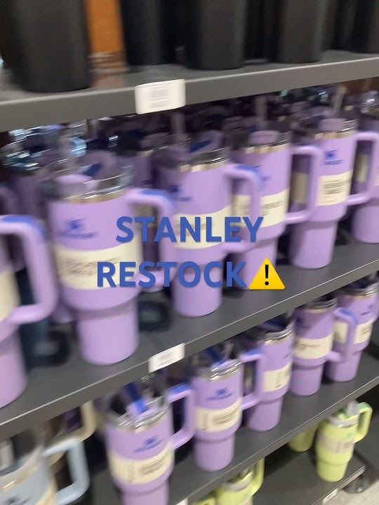 DICKS SPORTING GOODS STANLEY RESTOCK!