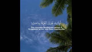 #gaza #quran #ислам #коран #Quran #قراءة_القران #تلاوة_القرآن_الكريم #коран #ислам #муслим #Аллах1