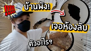 บ้านอายุ20กว่าปี พัง! เจอห้องลับข้างใน! พังเพราะสิ่งนี้ ?