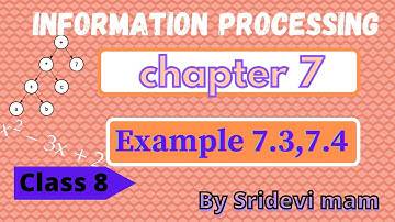 TN class 8 maths chapter 7 information processing ex 7.1 example 7.3,7.4 8th full book