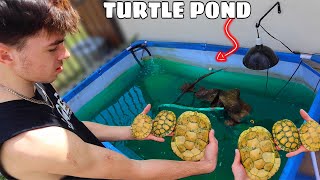 NEW POOL POND FOR $4000 *RARE* TURTLES! (ALBINO)