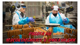 Работа на мясокомбинате в Финляндии /ЗАРПЛАТА/как попасть/график роботы.Постоянная и сезонная работа