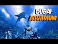 DUBAI AQUARIUM AND UNDERWATER