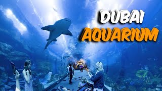 DUBAI AQUARIUM AND UNDERWATER