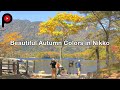 【 日光の紅葉 】 Beautiful Autumn Colors in Nikko | See Nikko and die