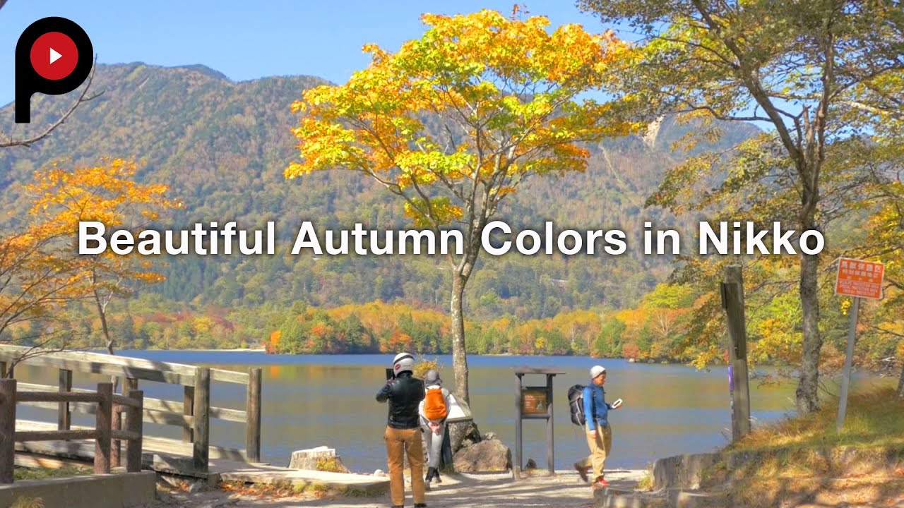 【 日光の紅葉 】 Beautiful Autumn Colors in Nikko | See Nikko and die
