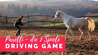 Die 7 Spiele nach Parelli - Driving Game | ausführliche Anleitung Teil 3/7