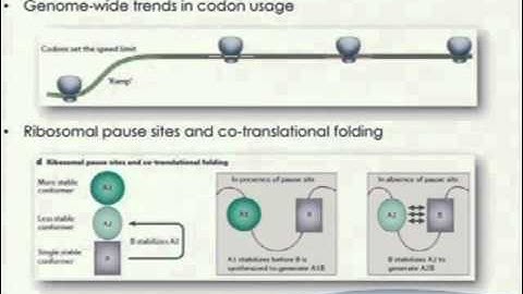 L05-2 DNA-seq III - NGS lecture series 2011