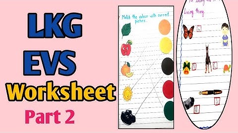 LKG Class evs worksheet/ EVS worksheet for LKG class