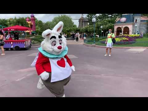 °o° Late ! Late ! The White Rabbit is (always) LATE ! - YouTube