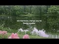 Letra Español Subtitulado Ven Novinha Pro Cafofo Letra Español Subtitulado Ven Novinha Pro Cafofo