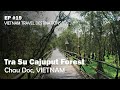 Tra Su Cajuput Forest in Chau Doc, Vietnam | EP #19 Vietnam Travel Destinations