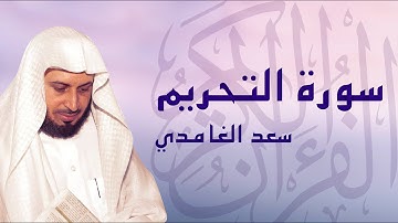 القرآن الكريم بصوت الشيخ سعد الغامدي لسورة التحريم