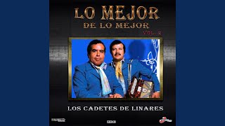 Video thumbnail of "Los Cadetes De Linares - Te Fuiste"