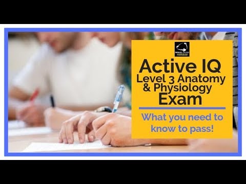 Active IQ Level 3 Anatomy and Physiology Exam