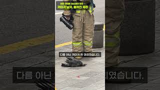 까마귀 때문에 제주 아파트 366세대 정전 #제주#까마귀#정전#연동