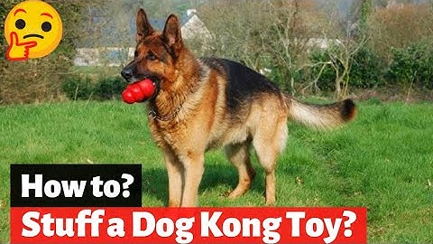 How to Stuff a Kong Toy? A Quick Guide to Stuffing a Kong