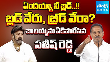 YSRCP Satish Reddy STRONG WARNING to Balakrishna Over Comments on YS Jagan | Sakshi TV