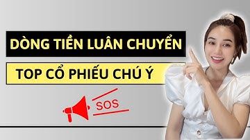DÒNG TIỀN LUÂN CHUYỂN, TOP CỔ PHIẾU CHÚ Ý | LÊ TƯ STOCK