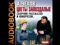 2000810 05 Аудиокнига. Чехов А.П. "Ярмарка"