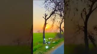 Git Me Shehnai Me Whatsapp Status New