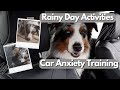 Dog Car Anxiety Training, Dog&#39;s Raw Diet Meal Prep, Car Troubles | What We Do On Rainy Days