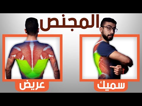 عاوز عضلات المجنص عريضة وضخمة اتمرن بالطريقة دى