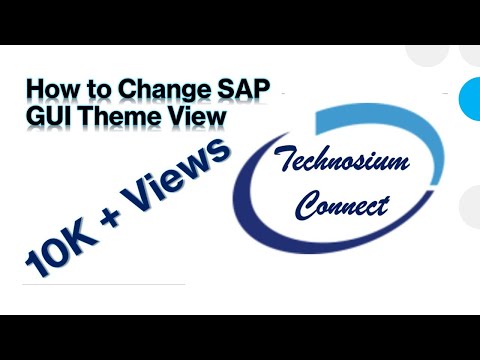 How to Change SAP GUI Theme View