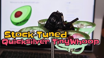 Quicksilver #TinyWhoop