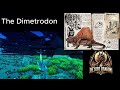DDG&amp;TG 36 The Dimetrodon