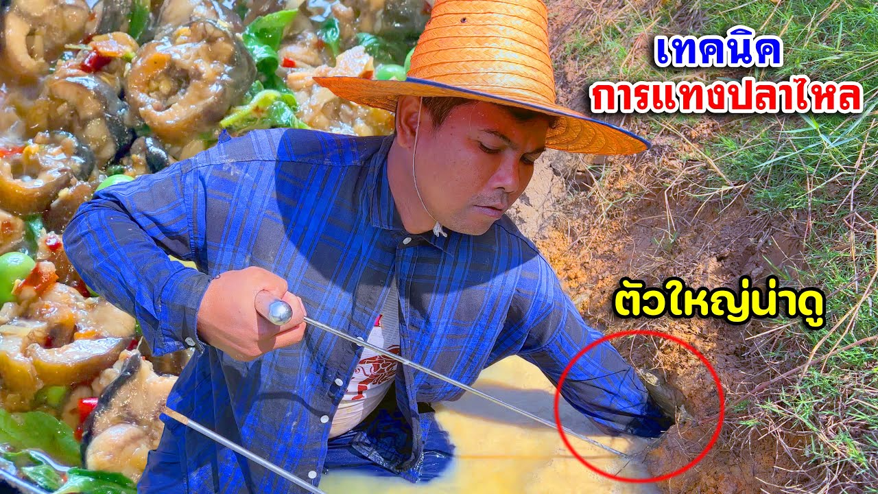 หาปลาไหลใต้น้ำ พร้อมเทคนิคดี ๆ คู่เหล็กหมาน 15 มกราคม 2567