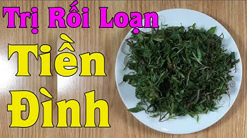 Bài thuốc đơn giản điều trị bệnh rối loạn tiền đình hiệu quả không cần dùng thuốc [Sức Khỏe]