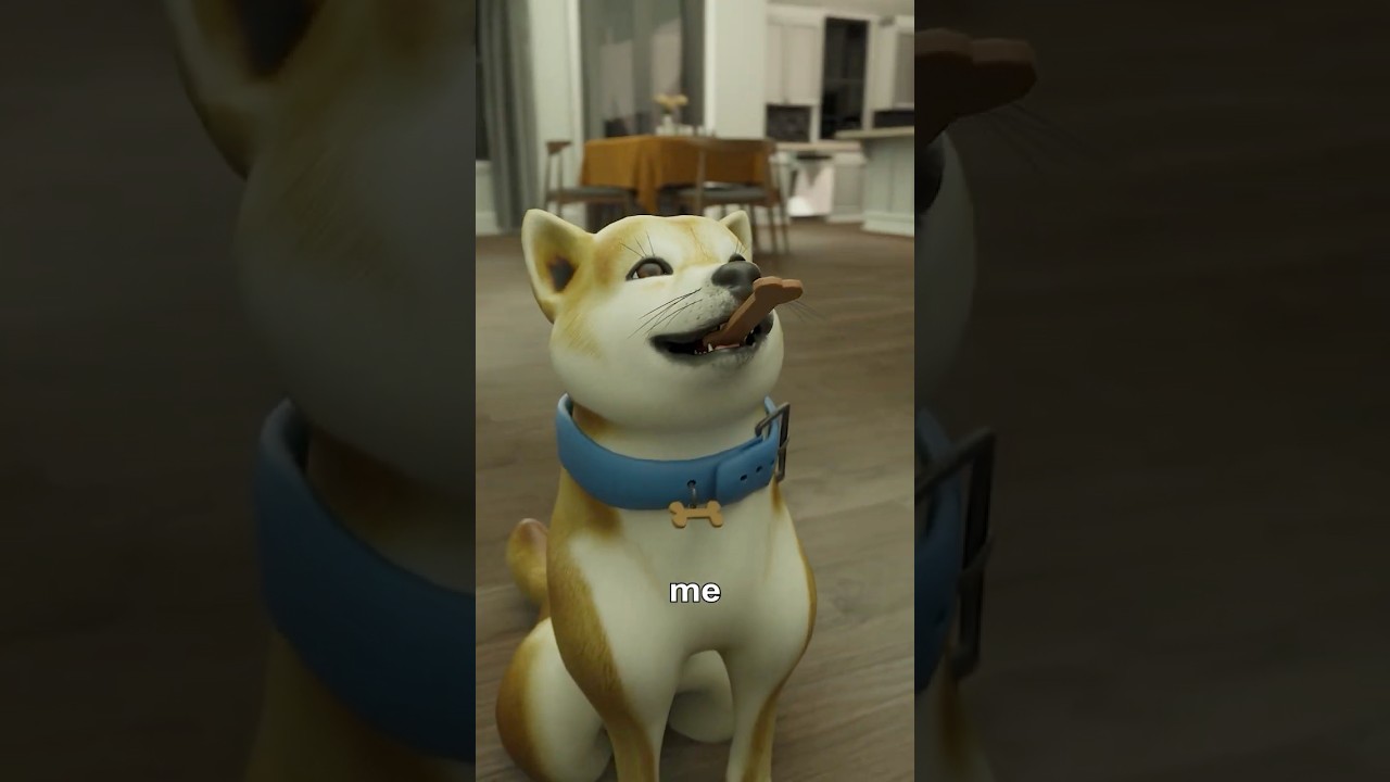 My Dog Wouldn't Stop Barking 🐶