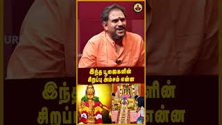 இந்த பூஜைகளின் சிறப்பு அம்சம் என்ன..#sabarimalaayyappan #ayyappaswamy #magaaguru