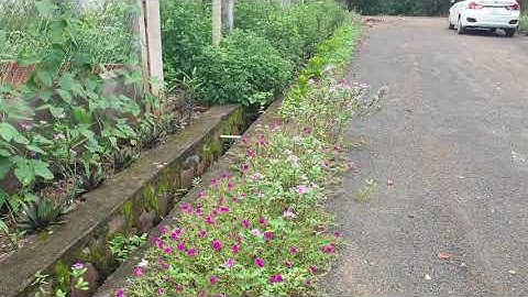 NVT1204 Bán lô đất khu bàn cờ xã Hòa Hiệp, Xuyên Mộc khu dân cư dt 20x52