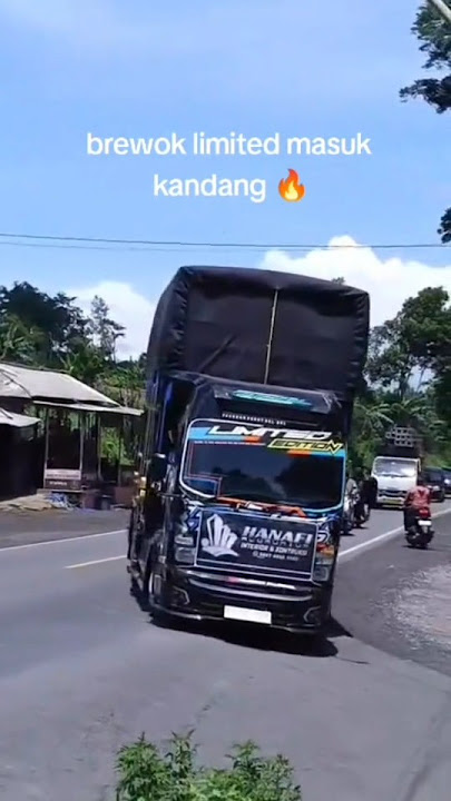 Carnaval sidomulyo 2025 brewok wes masuk kandang penyewa #karnaval #brewogaudio #sidomulyojember